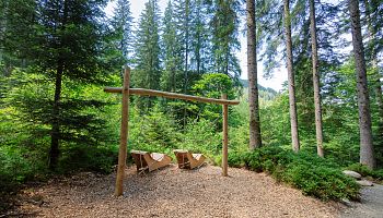 WILD.LIVE am Wadl Weg...