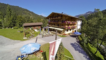 Superior Zimmer Steinberg