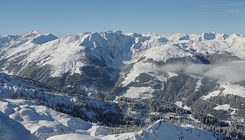The Steinbergstein