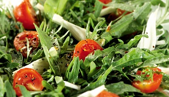 Windauer Wildkräutersalat
