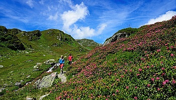 Wanderrouten rund um das Gasthaus Steinberg