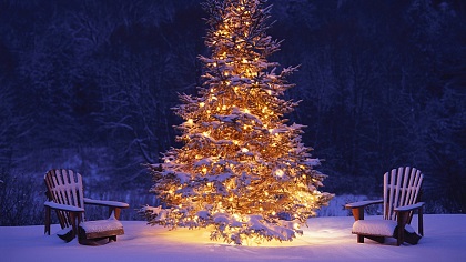 Am Weihnachtsbaum