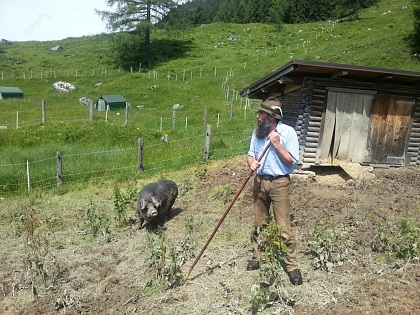 Strubreiter auf seiner Alm
