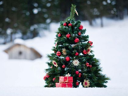 IMG_20171223_124441