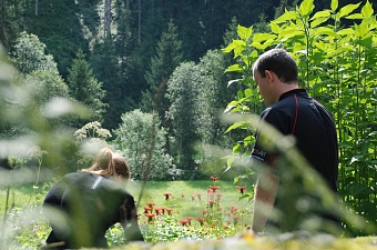 Gasthaus Steinberg Summer Wadl Weg trail